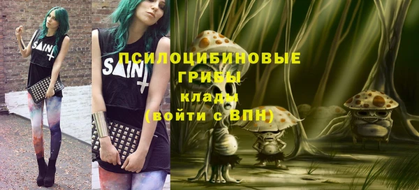 тгк Аркадак
