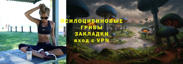 тгк Аркадак